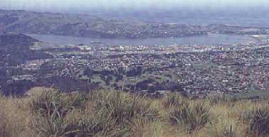 View of Dunedin from Flagstaff